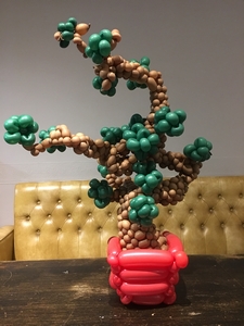 balloon bonsai