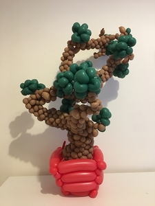 balloon bonsai