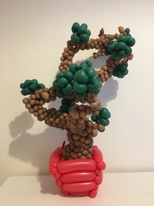 balloon bonsai