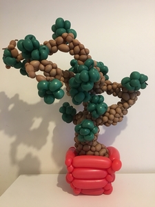 balloon bonsai