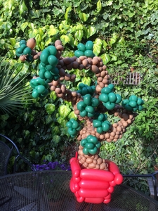 balloon bonsai