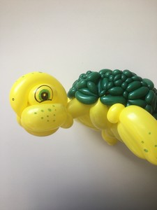 balloon turtle