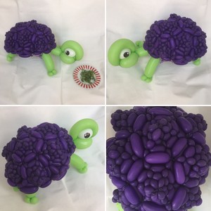 balloon tortoise