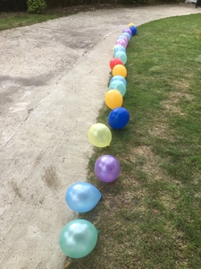 balloon tent pegs