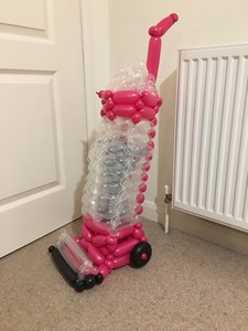 balloon vacuum cleaner