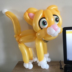 balloon animal david crofts