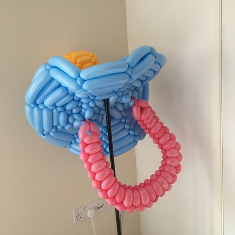 balloon model pacifier