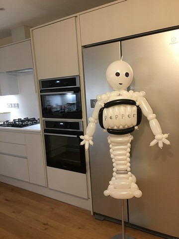 balloon model robot pepper