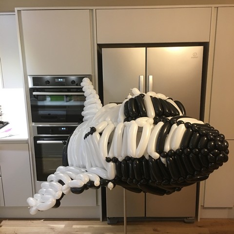 balloon model space shuttle