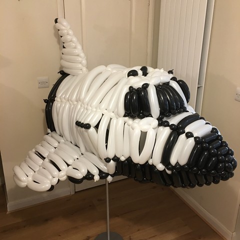 balloon space shuttle