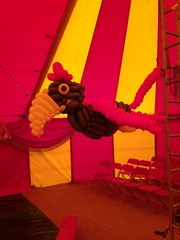 balloon circus
