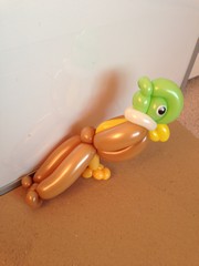 balloon model pheasant