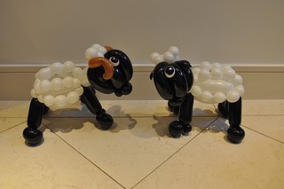 balloon model sheep
