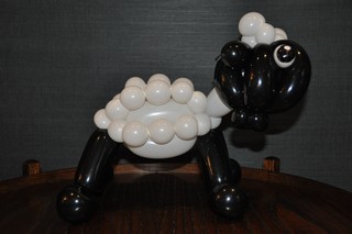 balloon model sheep