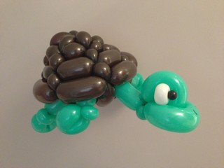 balloon tortoise