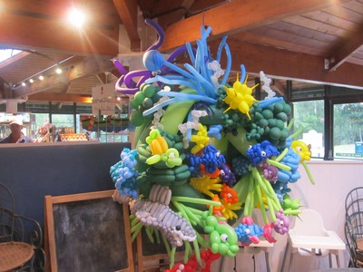 balloon coral reef