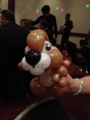 balloon hamster