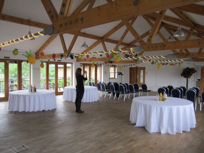 balloon bunting