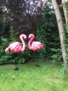 balloon model flamingo