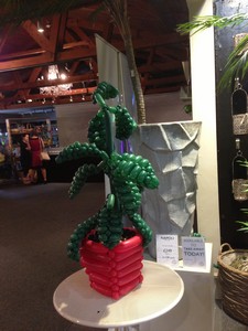 balloon model plant