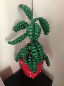 balloon model plant