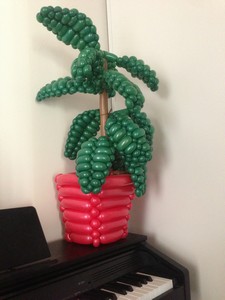 balloon model plant