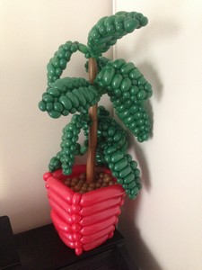 balloon model plant