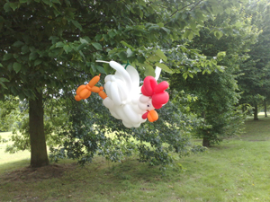 balloon chicken