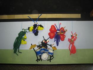 insect band