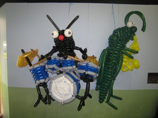 insect band