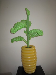 balloon office plant