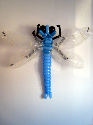 balloon dragonfly