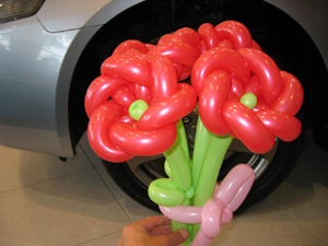 balloon flowers