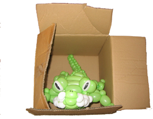 balloon crocodile in a box