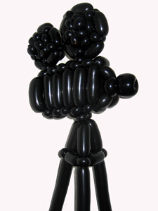 balloon camera