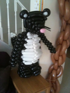 balloon toy cat