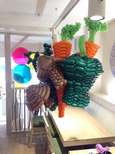 balloon model vegetables