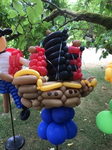 balloon model pirate